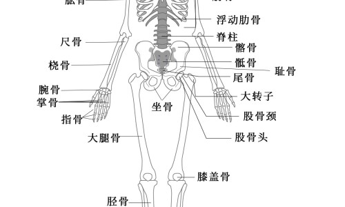 糖尿病 血糖稳定跟正常人区别网-分享糖尿病血糖14点严重吗，糖尿病血糖控制在多少合适知识库